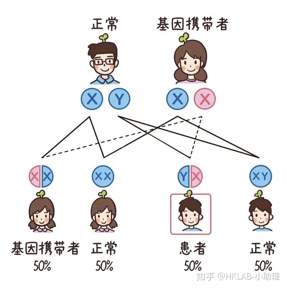 这几种遗传病,竟然传男不传女!