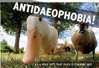 恐鸟症究竟有多可怕?