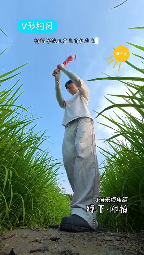 夏日稻田|每天一组摄影构图思路
