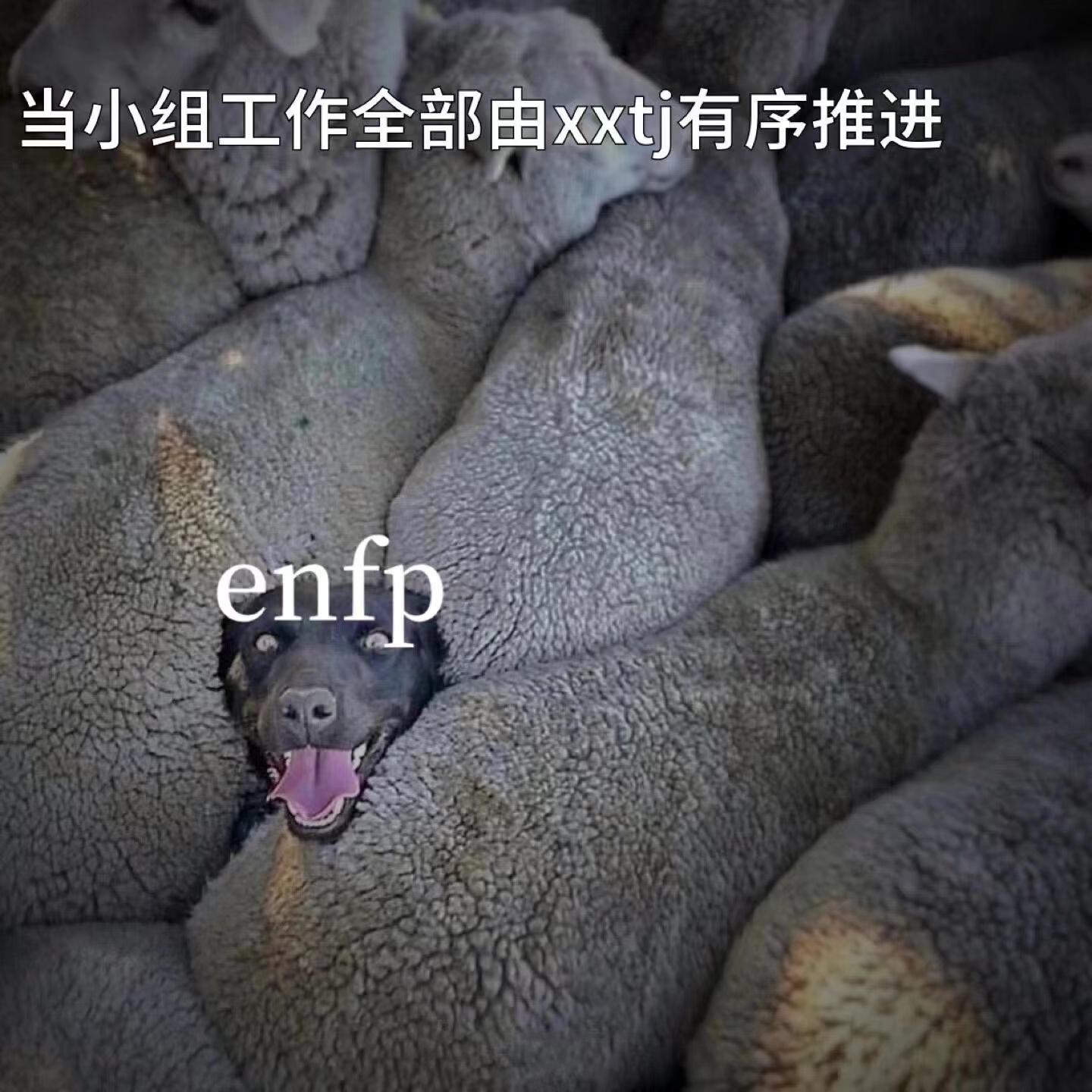 【MBTI表情包】ENFP专属表情包 | 执行官人格表情包 | 总经理人格表情包 - 知乎
