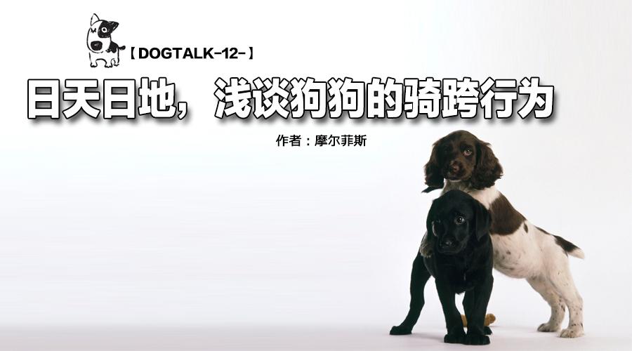 Dogtalk 12 浅谈狗狗的骑跨行为 知乎