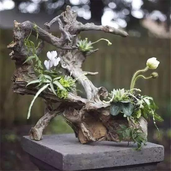 自然式枯木花艺