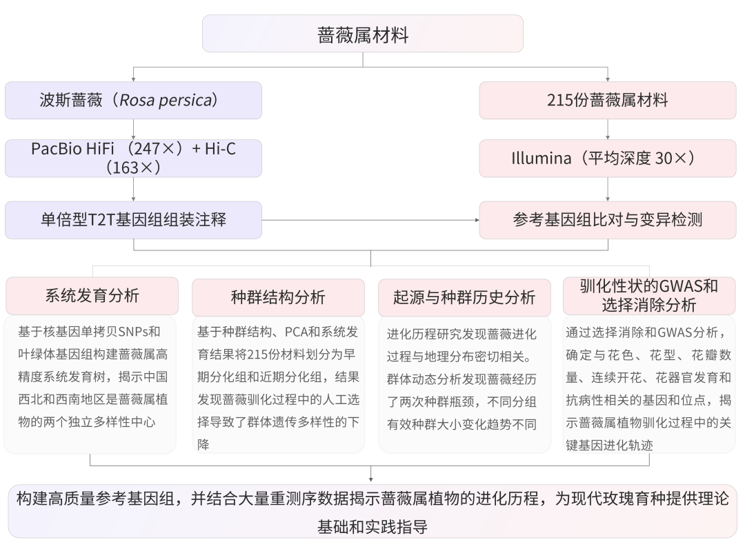 T2t Project 10分T2T基因组研究攻略! - 知乎