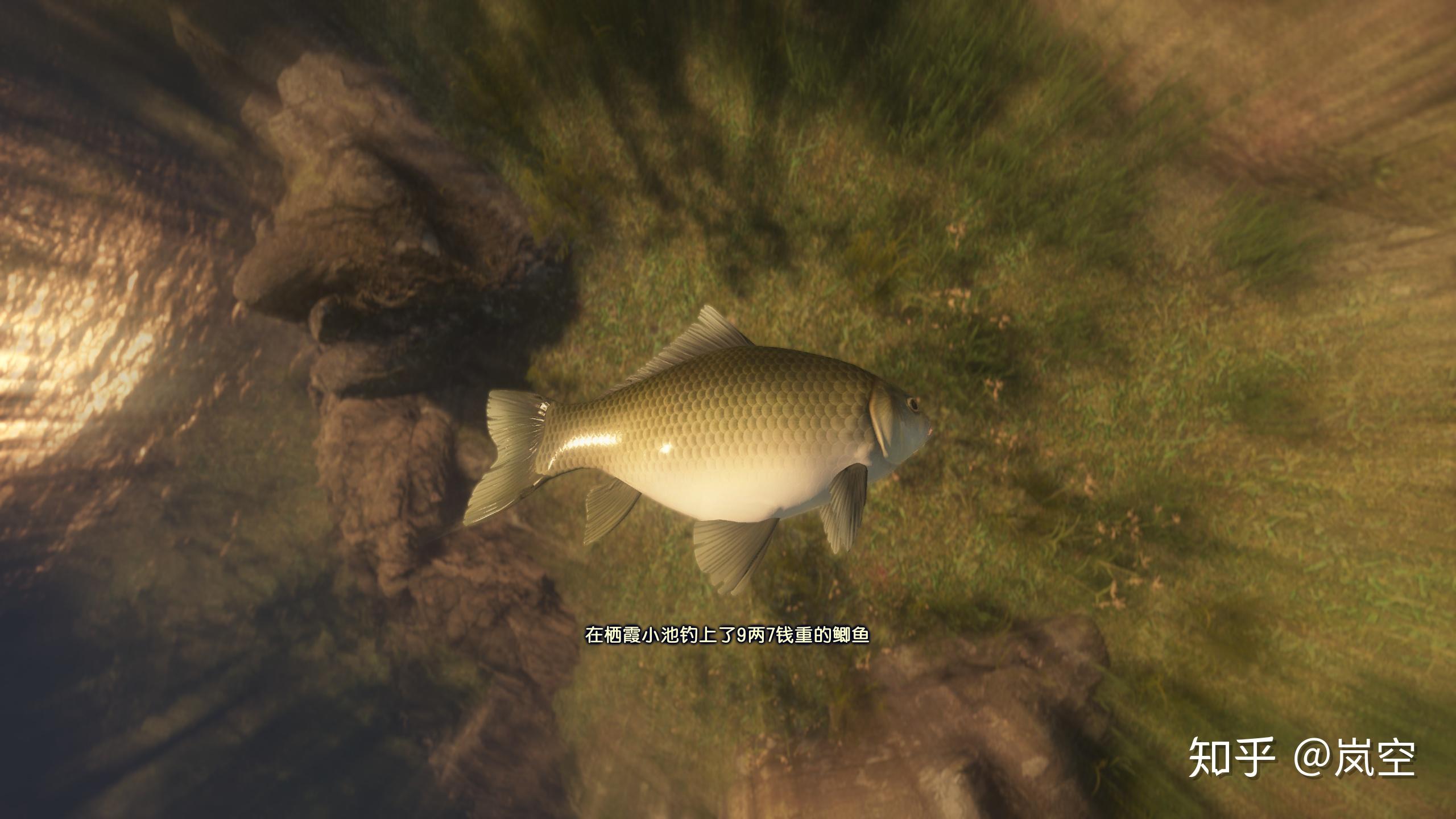 古剑奇谭三试玩评测第三把剑寒光闪烁