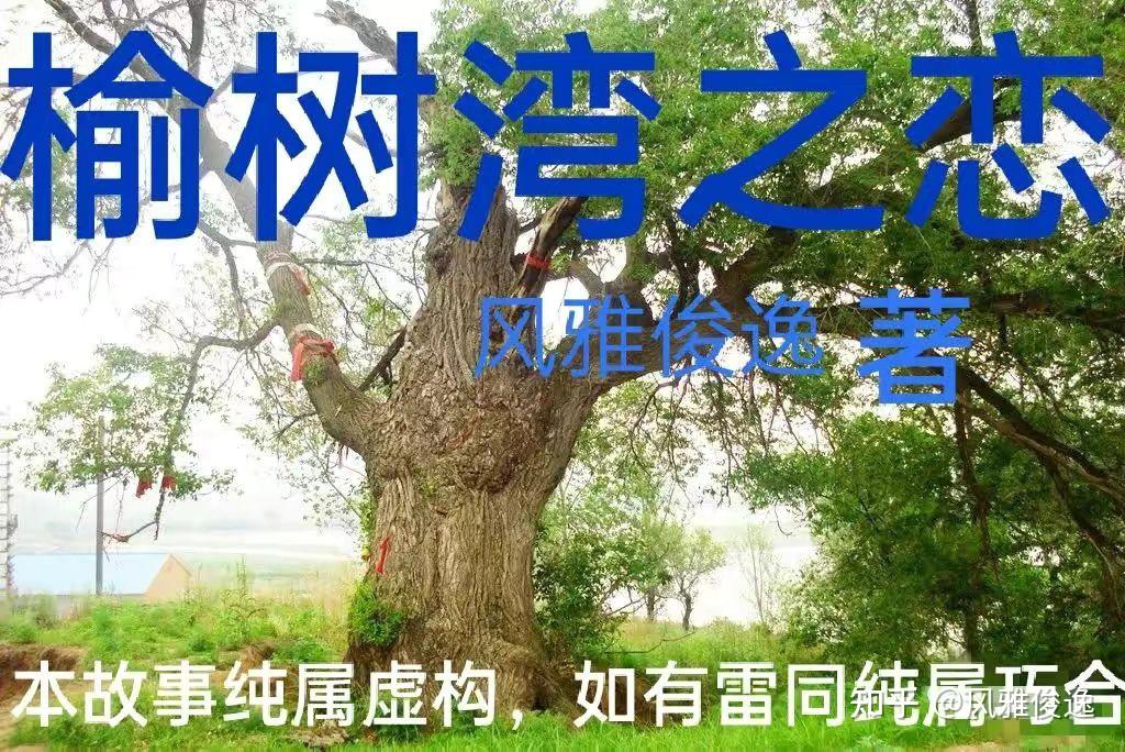 榆树湾之恋近现代情感故事连载五