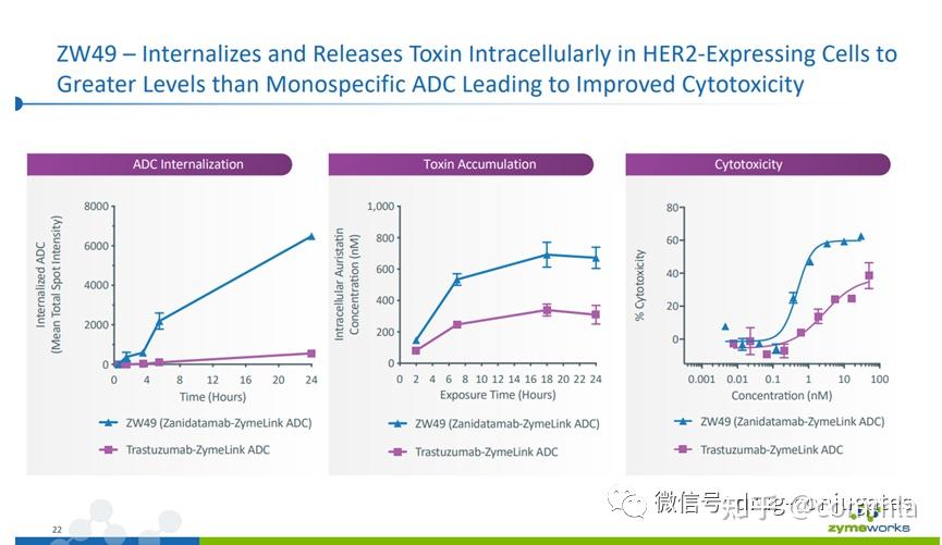 Zymeworks:双抗及双抗ADC技术梳理 - 知乎