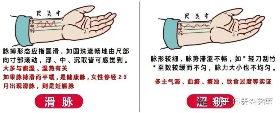 中医把脉原理 - 知乎