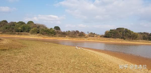 我眼中的春天 小野花也有大名字 知乎