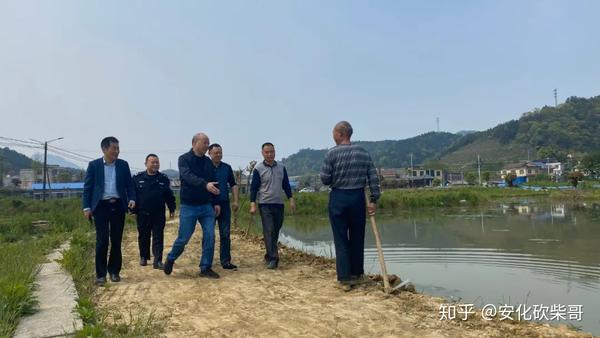 安化黑茶的功效 恰哒八木春黑茶 饿死郎中屋里牙什么意思 知乎