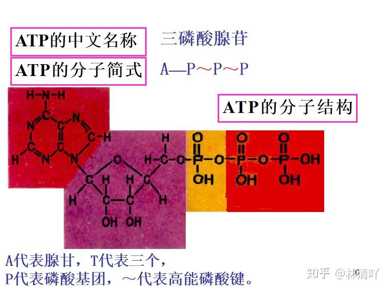 可编辑的103张高中生物重要图解，只看一眼，果断收藏！ - 知乎