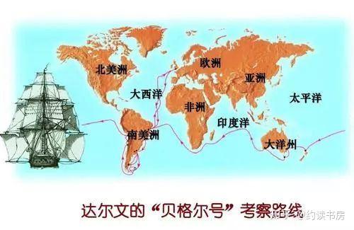 儿童书店科学家是怎样炼成的孩子与达尔文只差一本书的距离