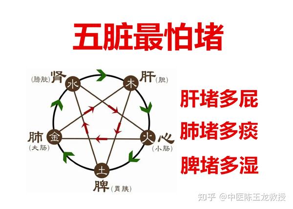 五脏最怕堵,肝堵多屁、肺堵多痰、脾堵多湿,老中医教你一招疏通 - 知乎