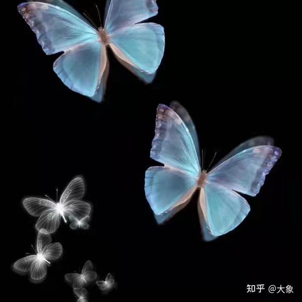 男生女生向前冲报名官网(网名大全 | 男生/女生/情侣/闺蜜网名合辑)