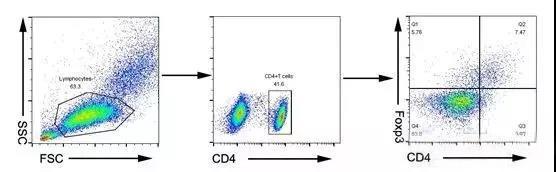 Tregs细胞流式检测干货文章分享 - 知乎