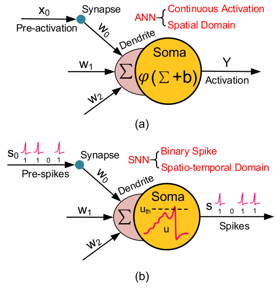 脉冲神经网络spikingneuralnetwork解读一