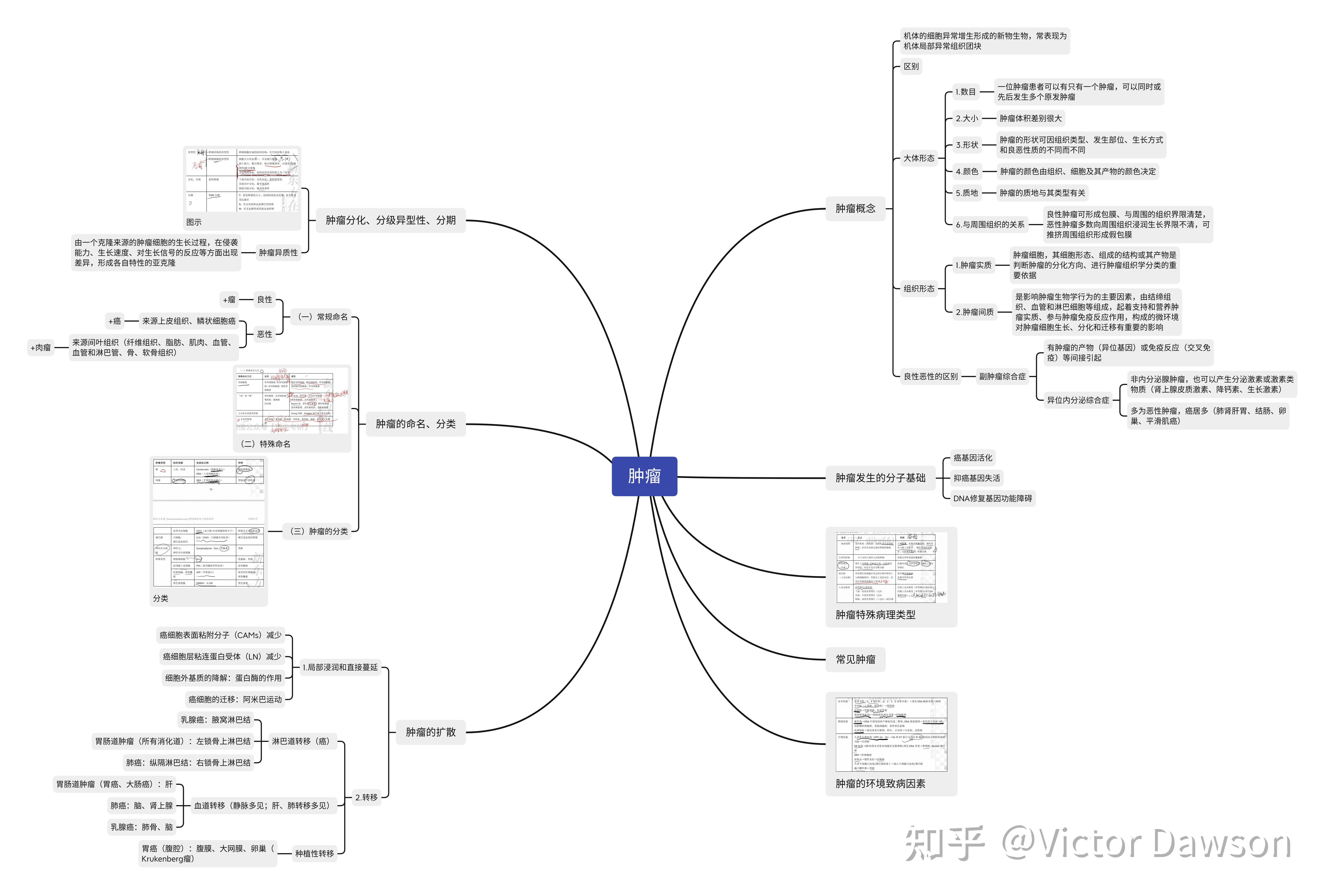 病理学思维导图高清pdf图片