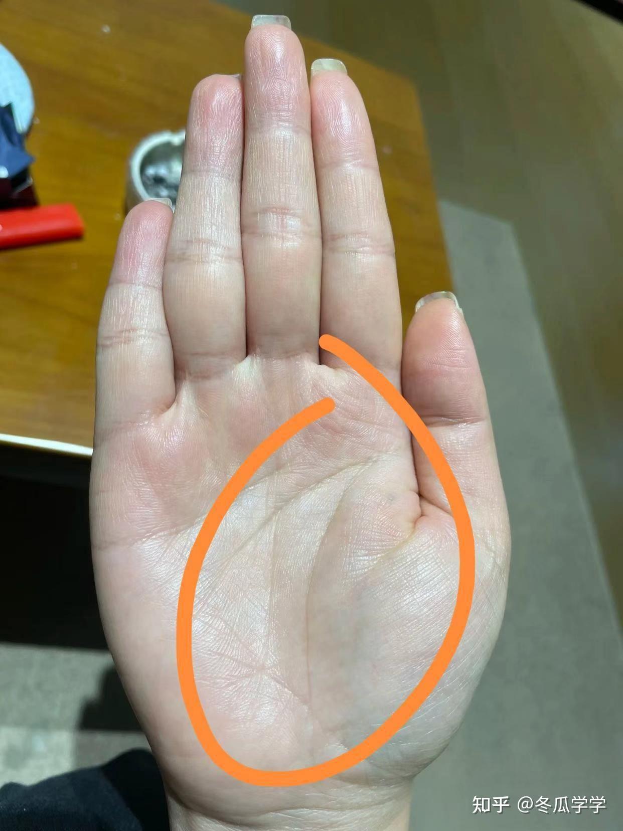 中指特别长,食指又比无名指长,比较自我 - 知乎