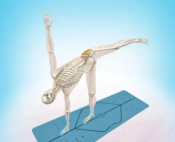 yogawithme半月式ardhachandrasana