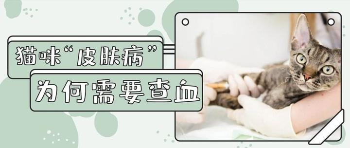 警惕 皮肤病 盘点9个最常引发皮肤症状的内科问题 知乎