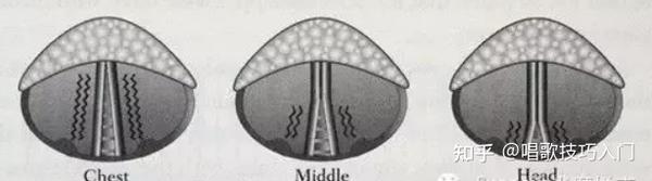 唱高音时该如何使用声带 知乎