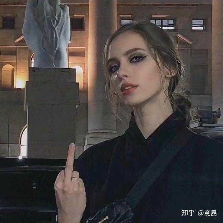 竖中指头像好看的那种