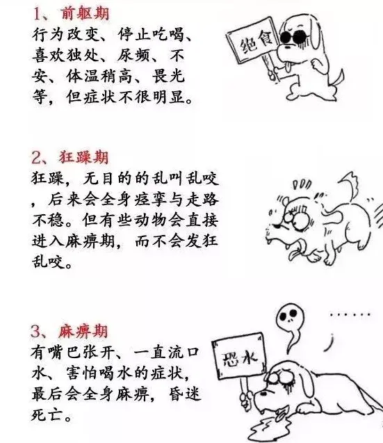 致紫竹张先生我们只想本着对生命负责的态度和您进行一场对话