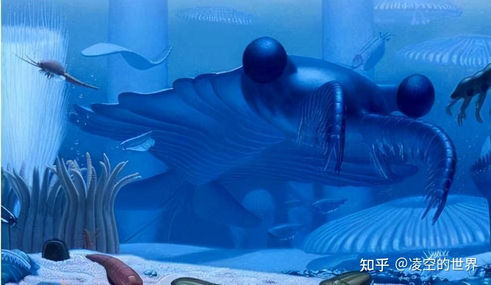 盘点地球各时期的生物霸主——（一）古生代 - 知乎