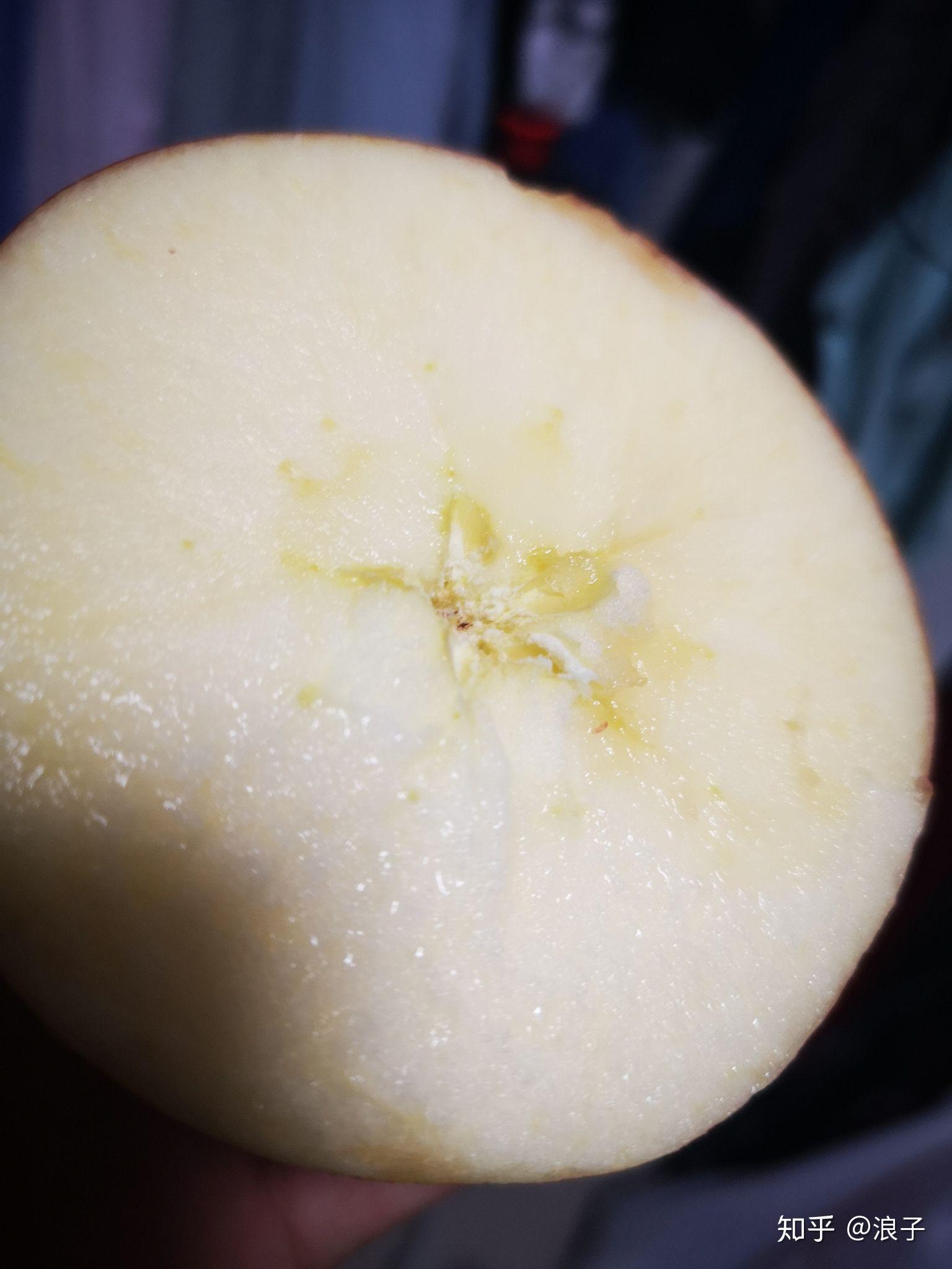 中国哪里的苹果最好吃?