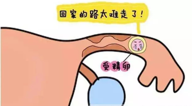 v2-c117192fd8c530f45c83c770cad92169_r.jpg