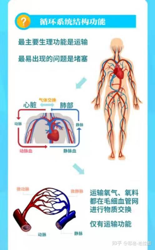 八大系统图片卡通图片