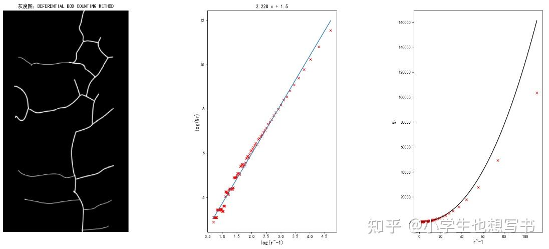 三种计算分形维数的方法及实验 V1 0 知乎