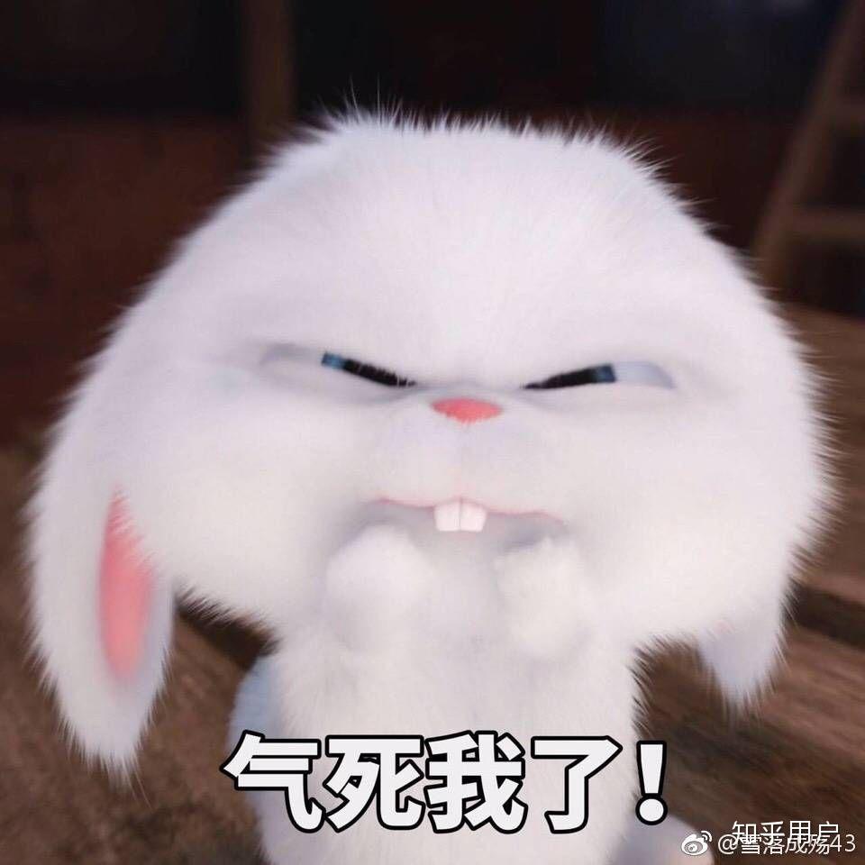 大学室友哪些行为让你受不了