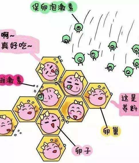 v2-c1614bf69f016c3d5679f9e96401d04f_1440w.jpg?source=172ae18b