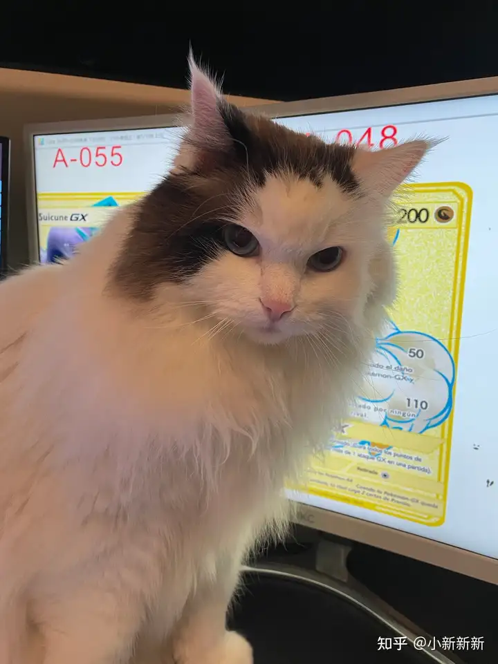 瞎扯 · 如何正确地吐槽