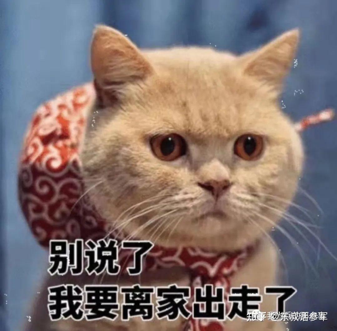 我向他们告辞.