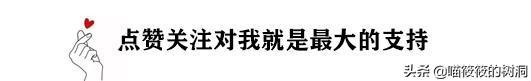 赞美文人风骨的古风句子(古风伤感句子集分享，建议收藏)