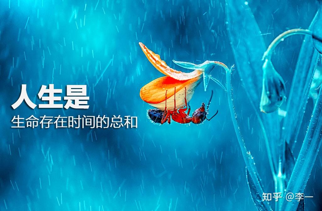 人生的意义到底是什么？我们该如何过好这一生？ - 知乎