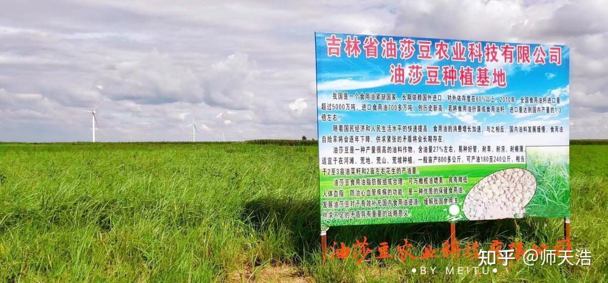 油莎豆农业千亿级的豆类食品赛道谁是下一个领跑者