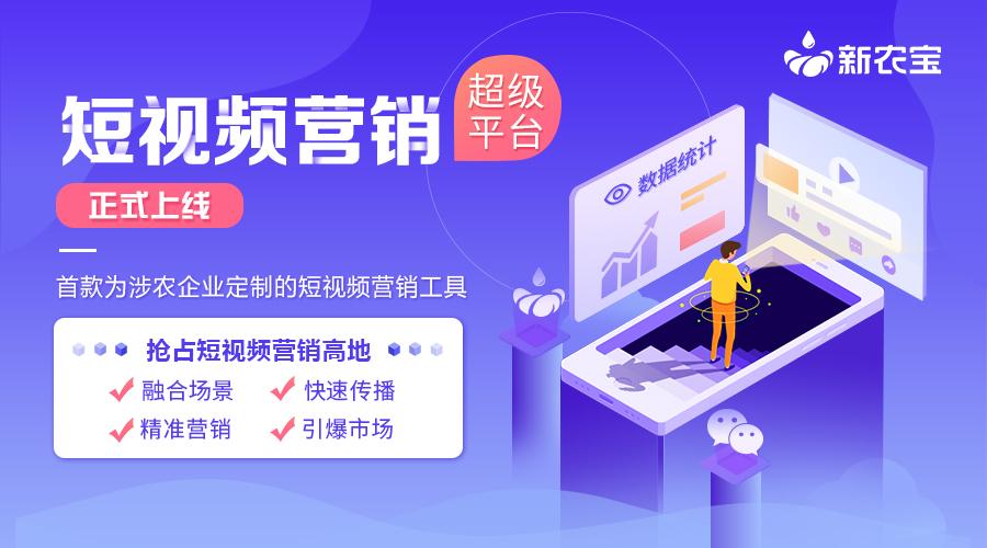 短视频营销工具全解析：从脚本策划到数据复盘的高效运营指南