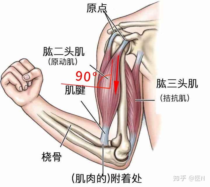 v2-c186eca9de0e1ee9f368bac7785eccfd_r.jpg