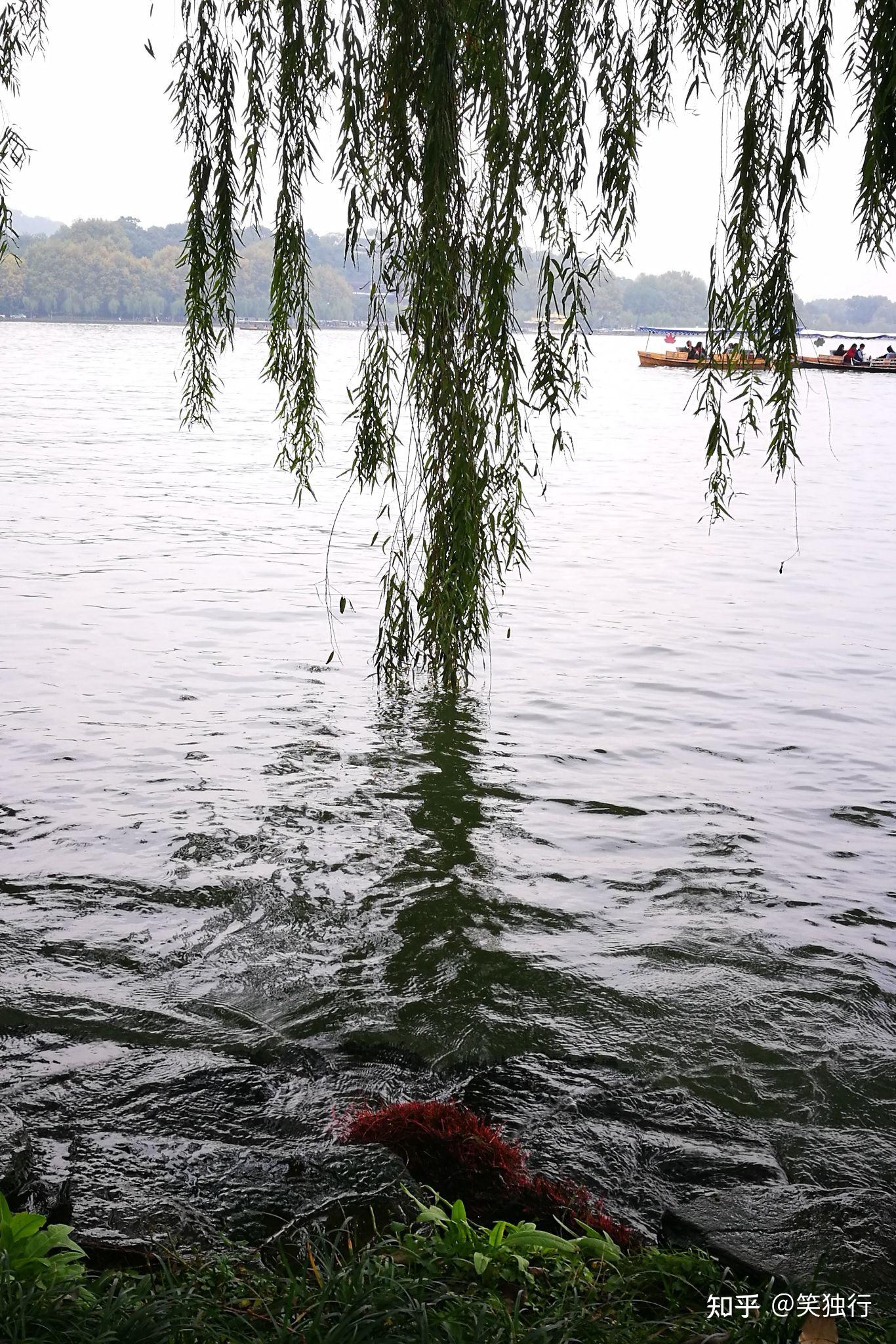 六桥烟柳迷人眼西湖苏堤导游词第二