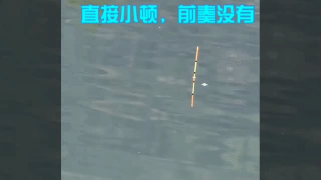 钓鲫鱼的一些浮漂动作扬竿时机分析 - 知乎