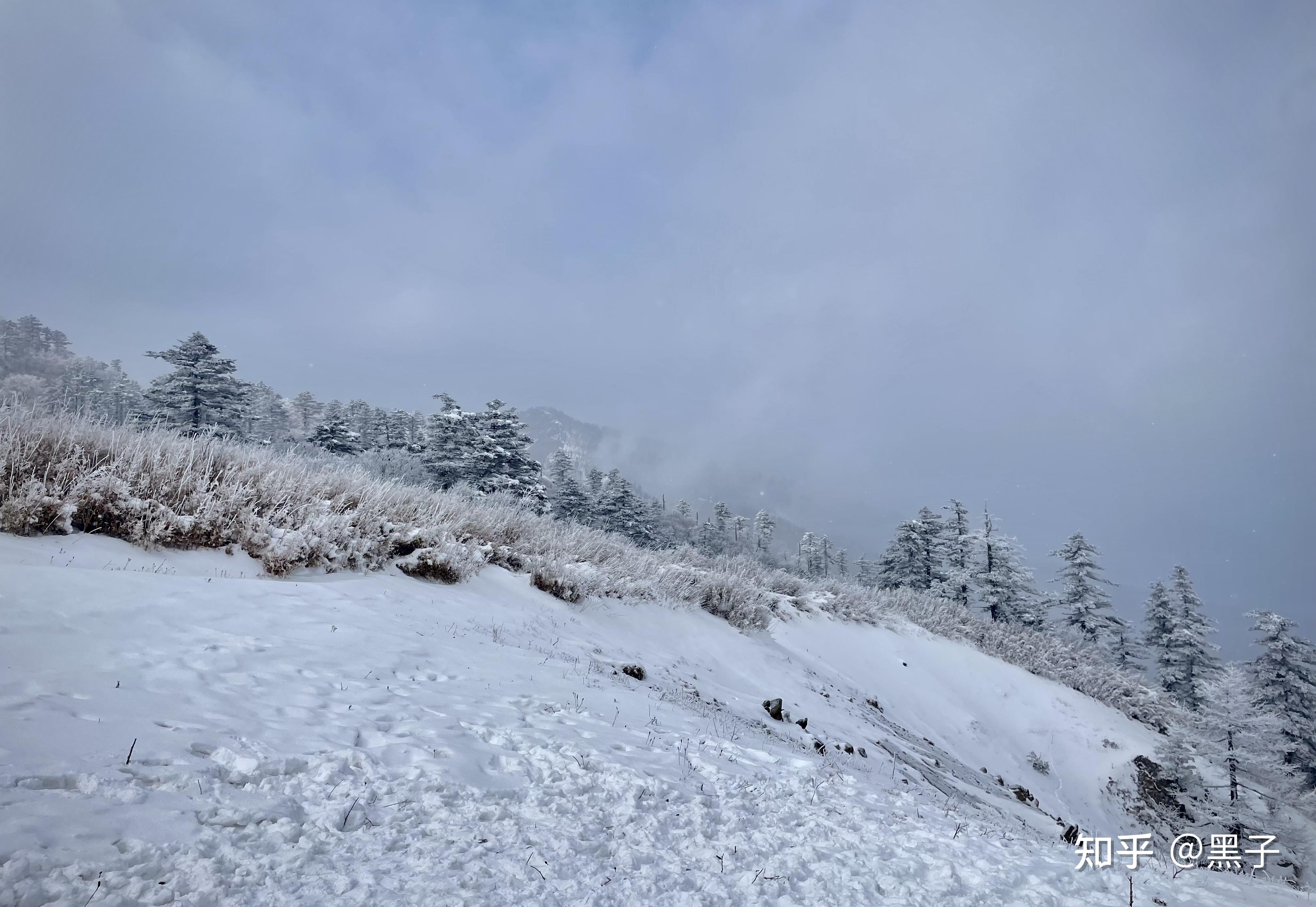 登山徒步秦岭脊梁东梁高山草甸