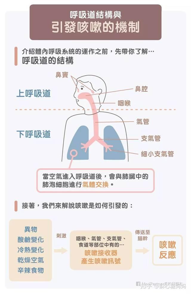 育儿知识丨全网最干货的儿童咳嗽护理办法你还在给娃吃止咳药雾化打