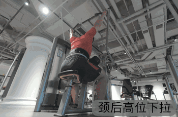 350_231gif 动态图 动图