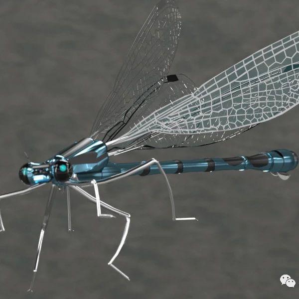 生活艺术 Damselfly蜻蜓蜻蛉模型3d图纸step格式 知乎
