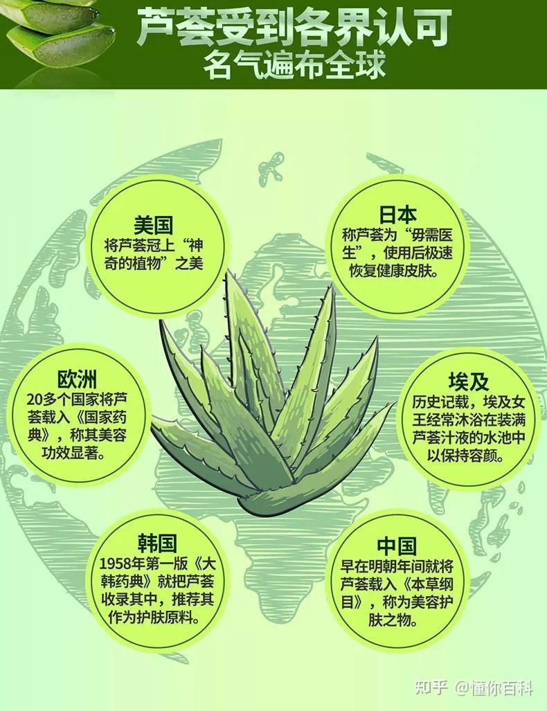 懂你百科:分享关于芦荟的4大功效,助你美容护肤变好看!