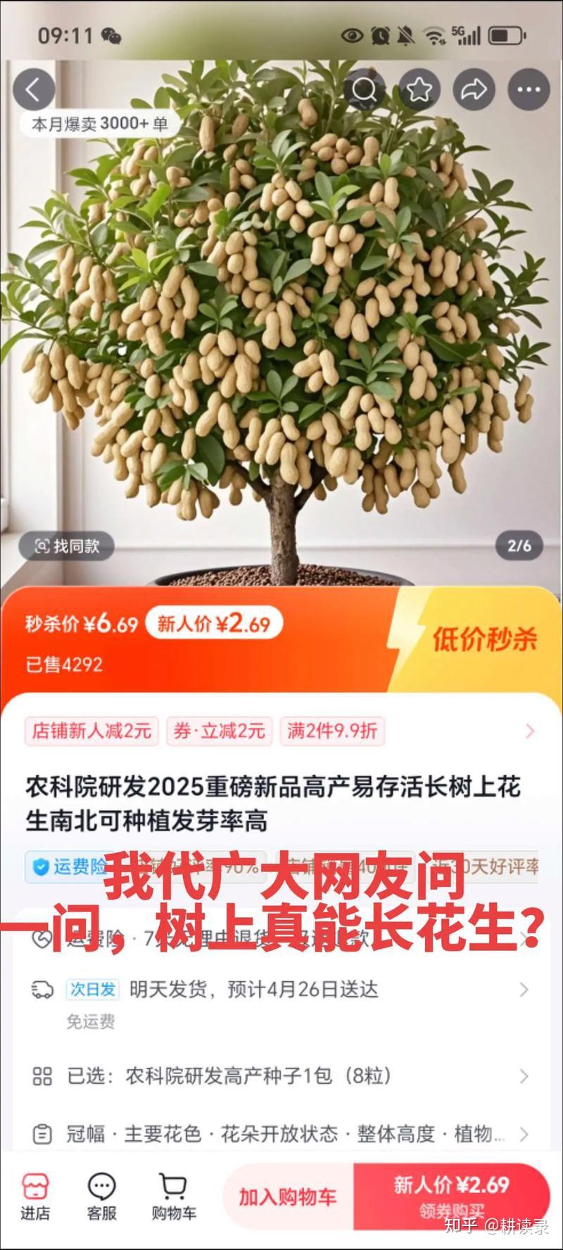 耕读录 良品铺子的花生树,是在糊弄谁的常识? - 知乎