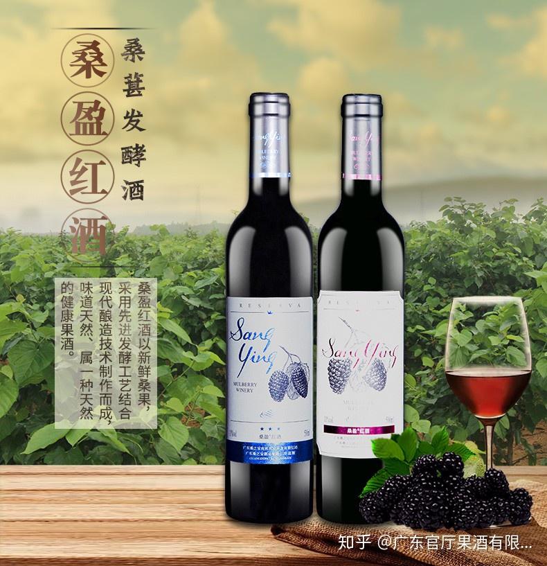 一棵桑树几味药不止浑身上下全是宝