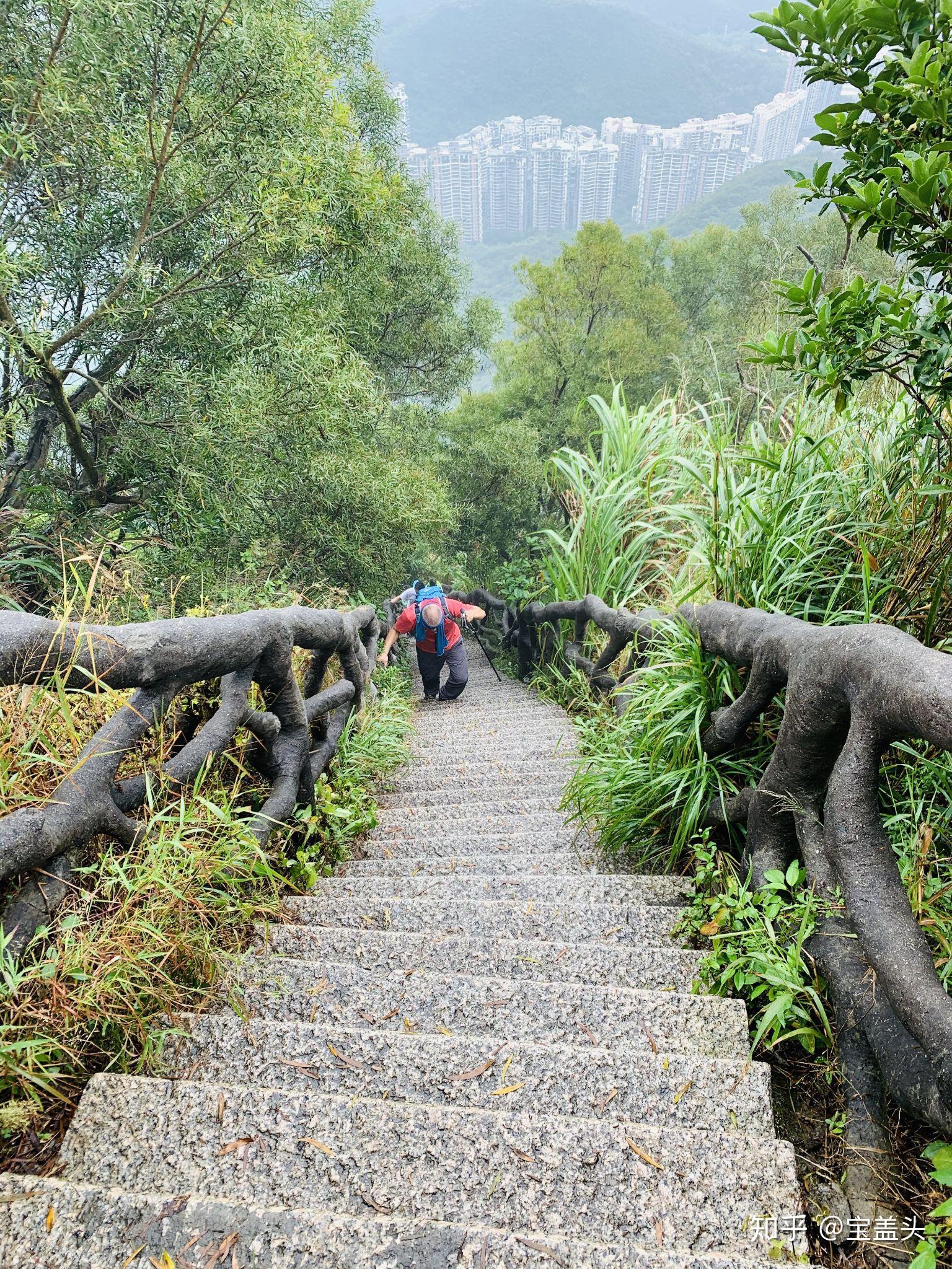 刻着"凌云道",我们第一次爬不晓得,本着上山